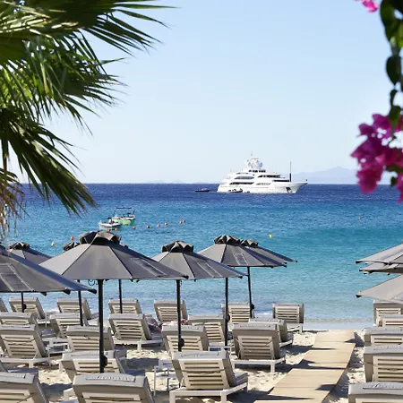 Mykonos Dove Beachfront Πλατύς Γιαλός