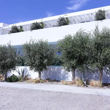 Mykonos Dove Beachfront Hotel Platys Gialos (Mykonos)