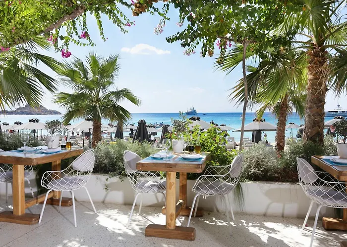 Mykonos Dove Beachfront מלון פלאטיס יאלוס